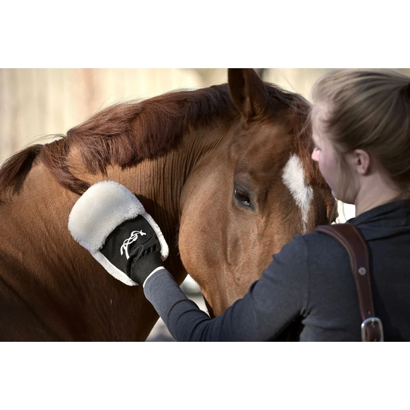 Gant De Pansage 5 Gant De Pansage – Image 5