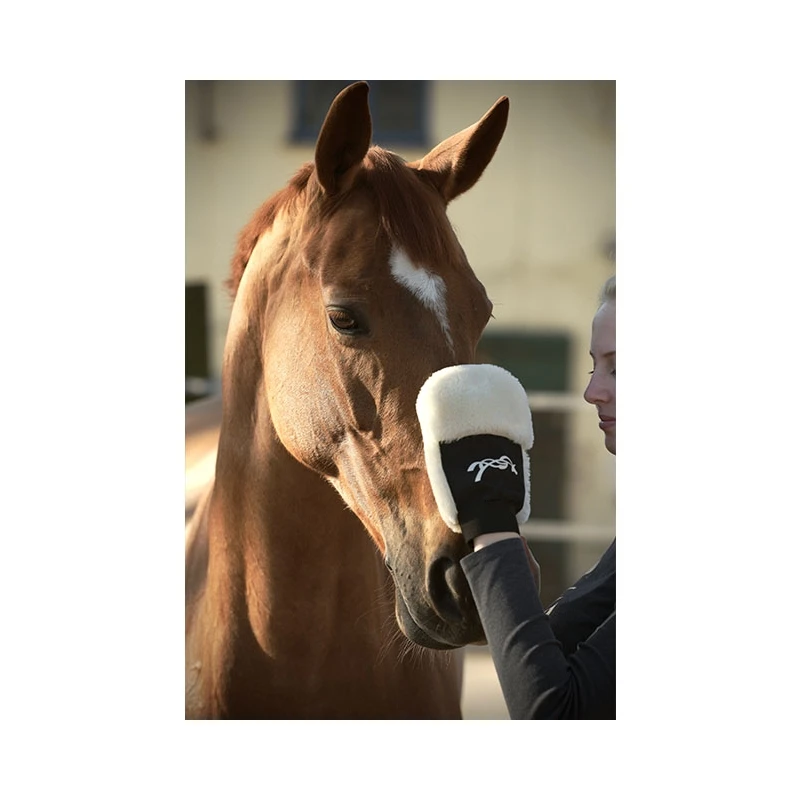 Gant De Pansage 1 Gant De Pansage