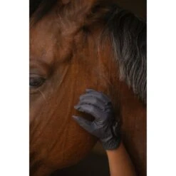 PÉNÉLOPE Gants Prisma Strass Eden By Pénélope Marine - Enfant -Caval’Style Boutique gants prisma strass eden by penelope marine enfant 6