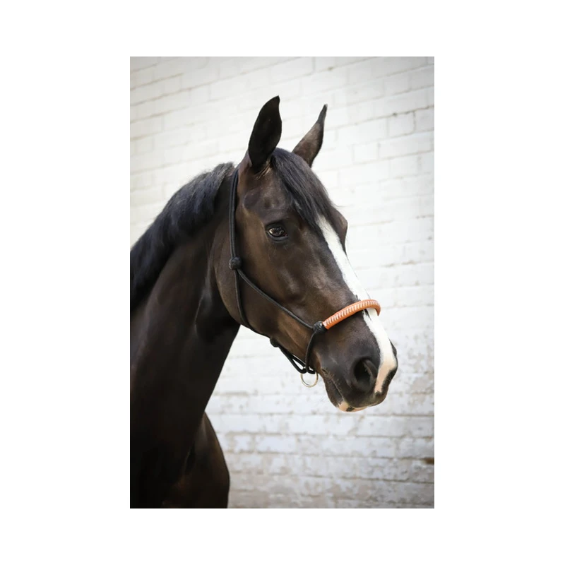 Licol éthologique Américain - Noir 1 Licol éthologique Américain - Noir