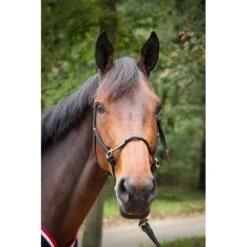 Licol Ethologique -Caval’Style Boutique licol ethologique penelope leprevost 2