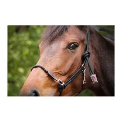 Licol Ethologique -Caval’Style Boutique licol ethologique penelope leprevost 3