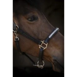 PÉNÉLOPE Licol Harmonie - Noir -Caval’Style Boutique licol harmonie noir 2