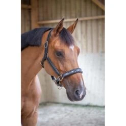 PÉNÉLOPE Licol Pearl - Noir