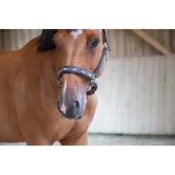 PÉNÉLOPE Licol Pearl - Noir -Caval’Style Boutique licol pearl noir 1 2