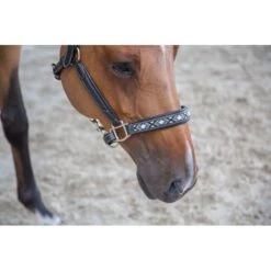 PÉNÉLOPE Licol Pearl - Noir -Caval’Style Boutique licol pearl noir 1 3