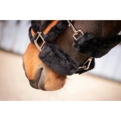 PÉNÉLOPE Licol Soft - Noir & Noir -Caval’Style Boutique licol penelope soft noir noir 1 6
