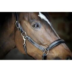 PÉNÉLOPE Licol Point Sellier - Noir -Caval’Style Boutique licol point sellier noir 1 2