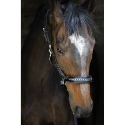 PÉNÉLOPE Licol Point Sellier - Noir -Caval’Style Boutique licol point sellier noir 1 3