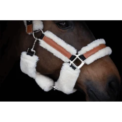 PÉNÉLOPE Licol Soft - Noir & Beige -Caval’Style Boutique licol soft noir beige 1 3