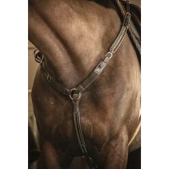 PÉNÉLOPE Martin-Collier - Havane