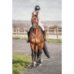 PÉNÉLOPE Martin-Collier - Havane -Caval’Style Boutique martin collier havane 9