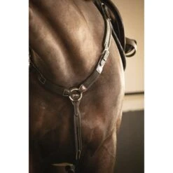 PÉNÉLOPE Martin-Collier - Noir