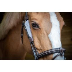 PÉNÉLOPE Œillères Australiennes - Havane 5 PÉNÉLOPE Œillères Australiennes - Havane -Caval’Style Boutique oeilleres australiennes havane 2