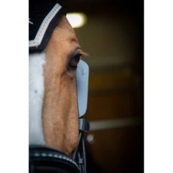 PÉNÉLOPE Œillères Australiennes - Noir