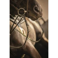 PÉNÉLOPE Rênes Howlett En Cuir - Noir