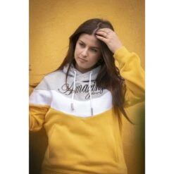 PÉNÉLOPE Sweat Artémis - Jaune & Gris -Caval’Style Boutique sweat artemis jaune gris 1 11