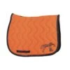 PÉNÉLOPE Tapis De Selle Point Sellier Classique - Orange & Marine